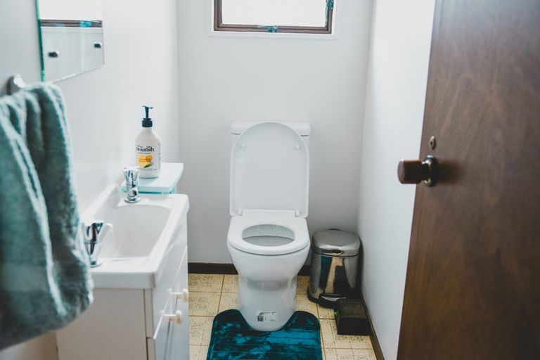 Photo of property in 30 Wills Crescent, Ashhurst, 4810