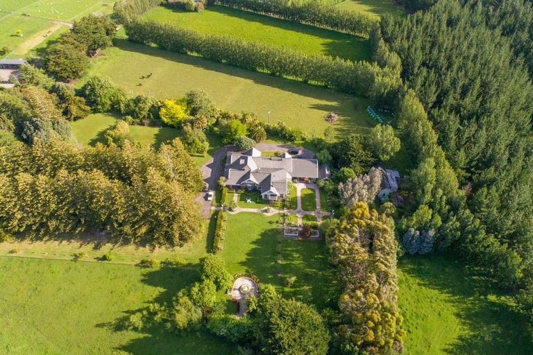 Photo of property in Greenlea, 310 Mount Biggs Road, Halcombe, Feilding, 4779