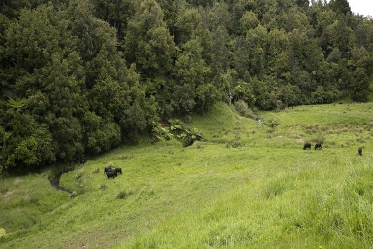 Photo of property in 795 Matahuru Road, Waiterimu, 3784