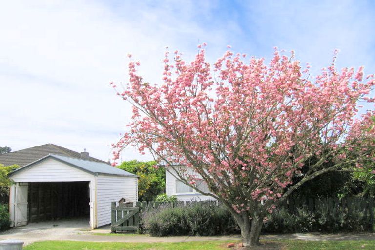 Photo of property in 11 Poplar Street, Mangapapa, Gisborne, 4010