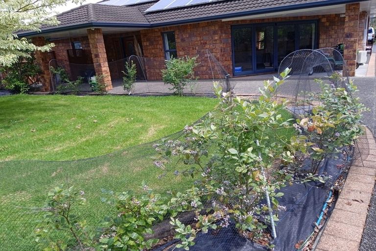 Photo of property in 42 Westview Place, Tauriko, Tauranga, 3110
