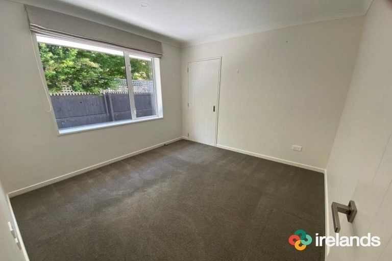 Photo of property in 8a Holmwood Road, Merivale, Christchurch, 8014