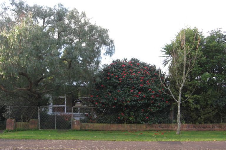 Photo of property in 29 Mansel Avenue, Hillcrest, Hamilton, 3216