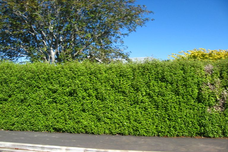 Photo of property in 147a Shetland Street, Wakari, Dunedin, 9010