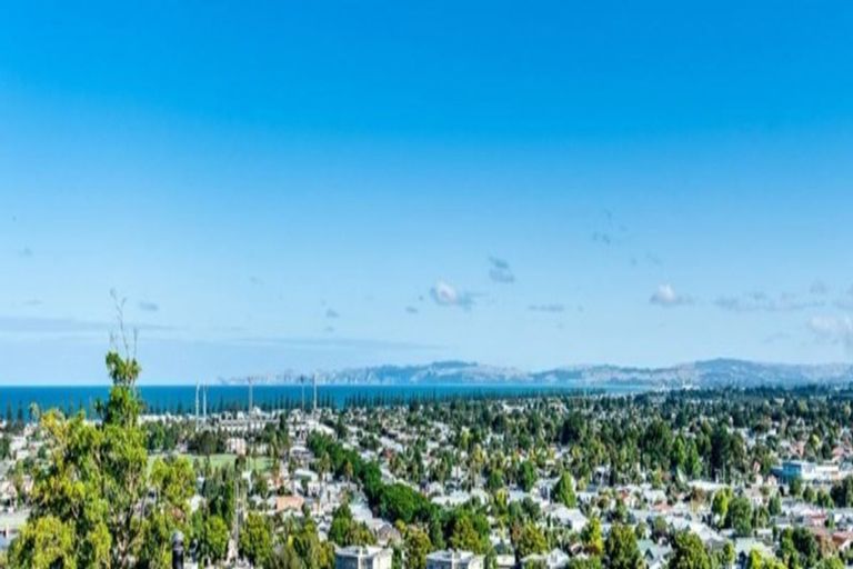 Photo of property in 29 Enfield Road, Hospital Hill, Napier, 4110