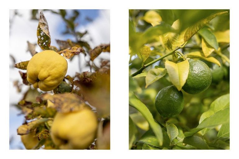 Photo of property in 22 Maida Vale Street, Fenton Park, Rotorua, 3010