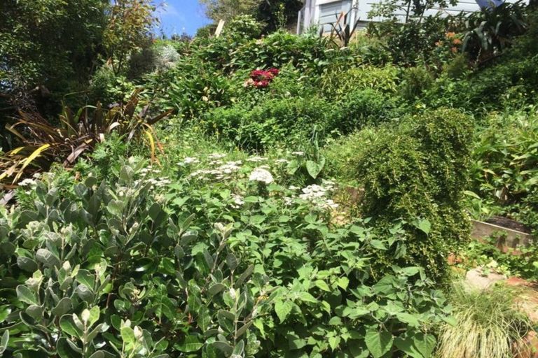 Photo of property in 2 Thule Street, Aro Valley, Wellington, 6012