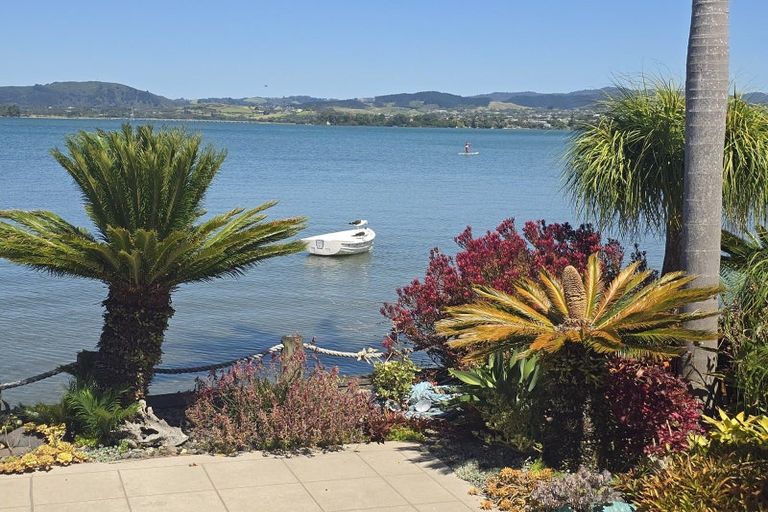 Photo of property in 5a Sixth Avenue, Tauranga, 3110