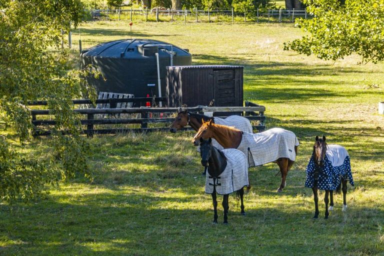 Photo of property in 116 Ru Collin Road, Bridge Pa, Hastings, 4174