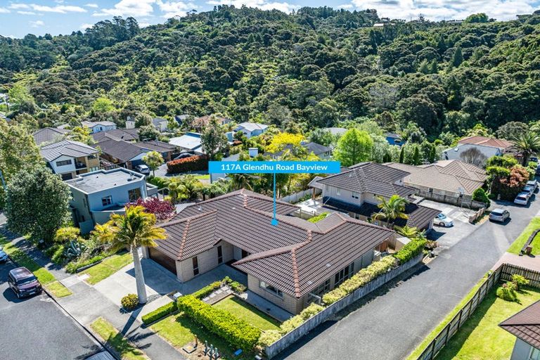 Photo of property in 117a Glendhu Road, Bayview, Auckland, 0629