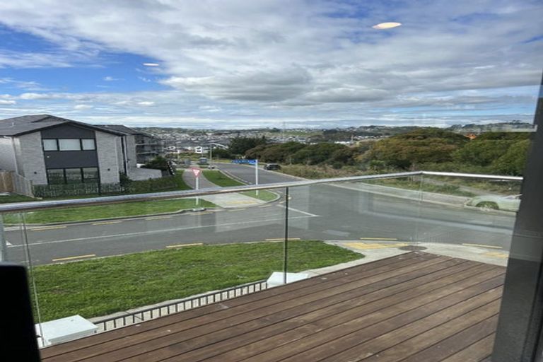 Photo of property in 1 Lime Rise, Flat Bush, Auckland, 2019