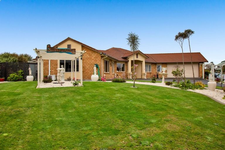 Photo of property in 24 Park Lane, Waitara, 4320