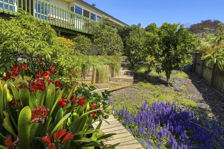 Photo of property in 50 Bayside Drive, Browns Bay, Auckland, 0630