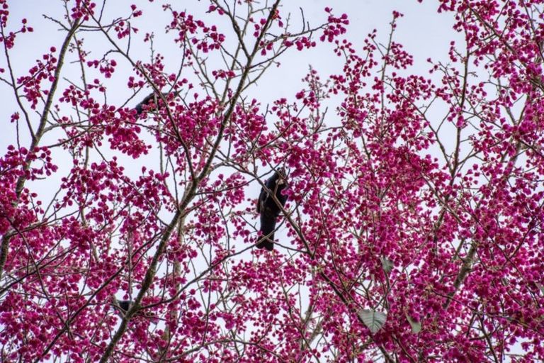 Photo of property in 26 Midland Lane, Aongatete, Katikati, 3181