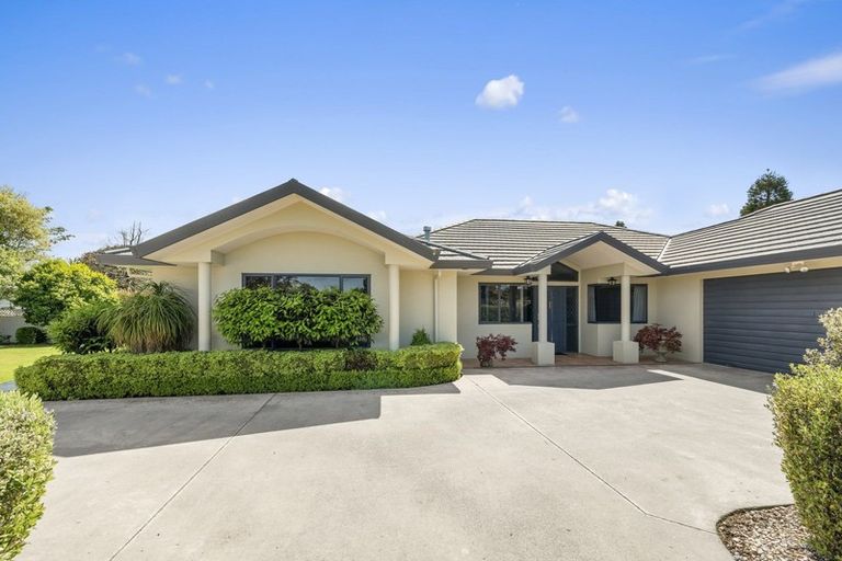 Photo of property in 5a Homewood Avenue, Levin, 5510