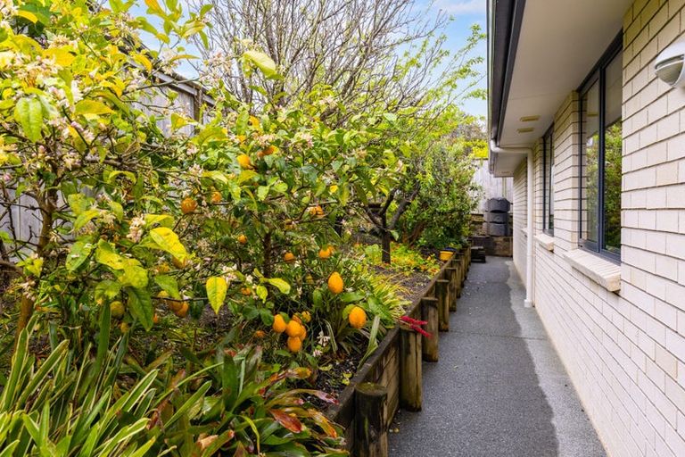 Photo of property in 6 Estuary Close, Warkworth, 0910