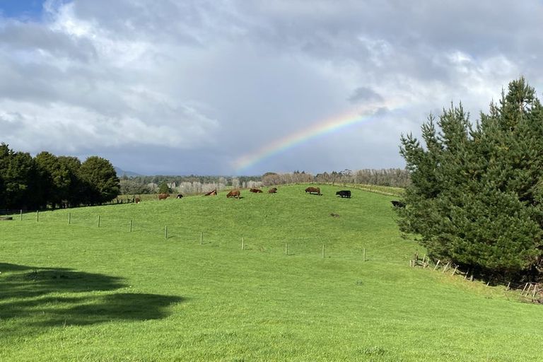 Photo of property in 1302 Pongakawa Bush Road, Pongakawa, Te Puke, 3186