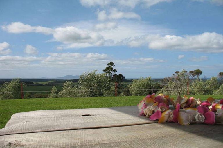 Photo of property in 82 Red Road, Te Arai, Wellsford, 0975