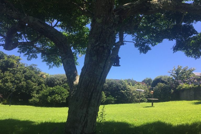 Photo of property in 24 Pitcairn Street, Oakura, 4314