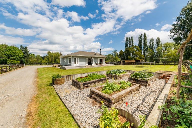 Photo of property in 1351 Pohangina Road, Pohangina, Ashhurst, 4884