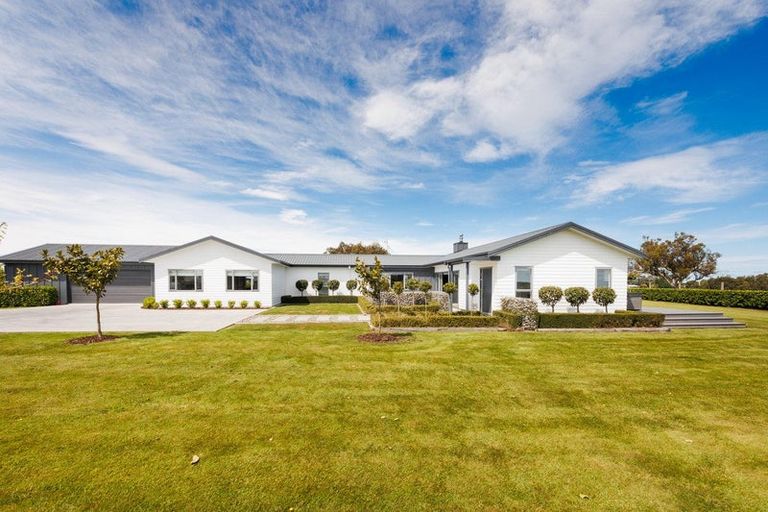 Photo of property in 57 Wapiti Avenue, Feilding, 4775