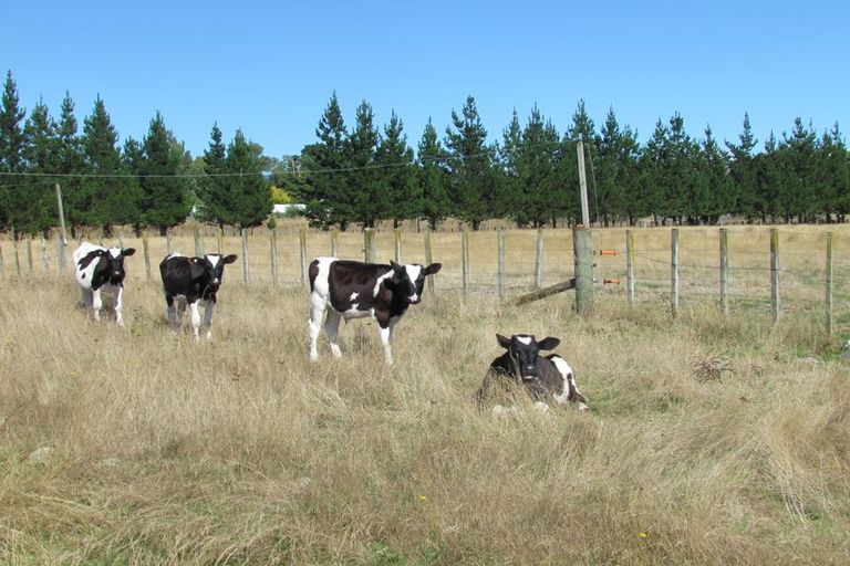 Photo of property in 60b Skeets Road, Upper Plain, Masterton, 5888