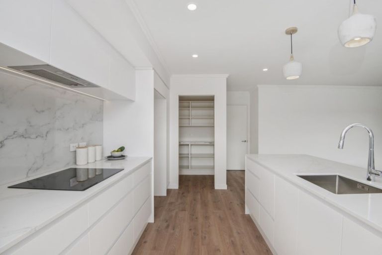 Photo of property in 33 Ormond Road, Lincoln, 7608