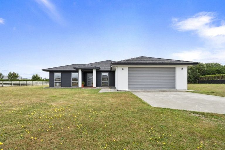 Photo of property in 46 Wapiti Avenue, Feilding, 4775