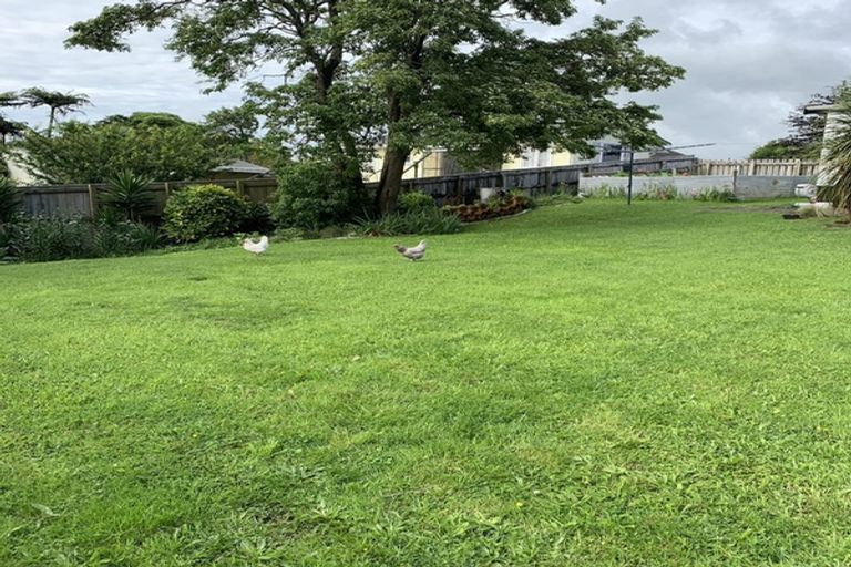 Photo of property in 106 Ariel Street, Stratford, 4332