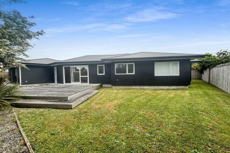 Photo of property in 68b Manson Street, Terrace End, Palmerston North, 4410