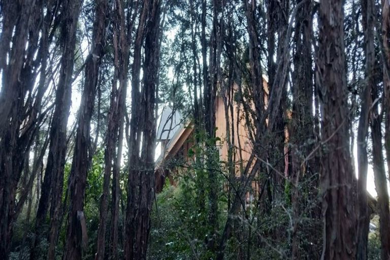 Photo of property in 63 Tinline Terrace, Lyford, Waiau, 7395