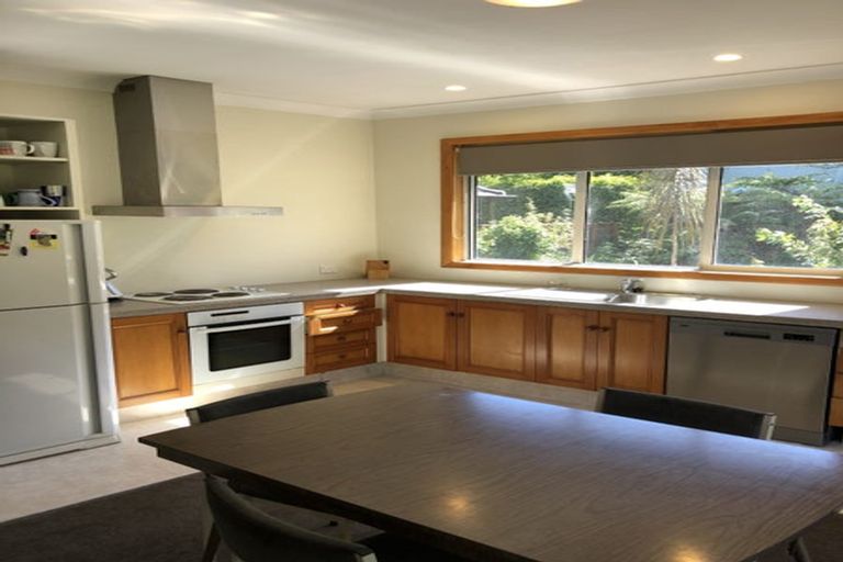 Photo of property in 20 Royal Terrace, Dunedin Central, Dunedin, 9016