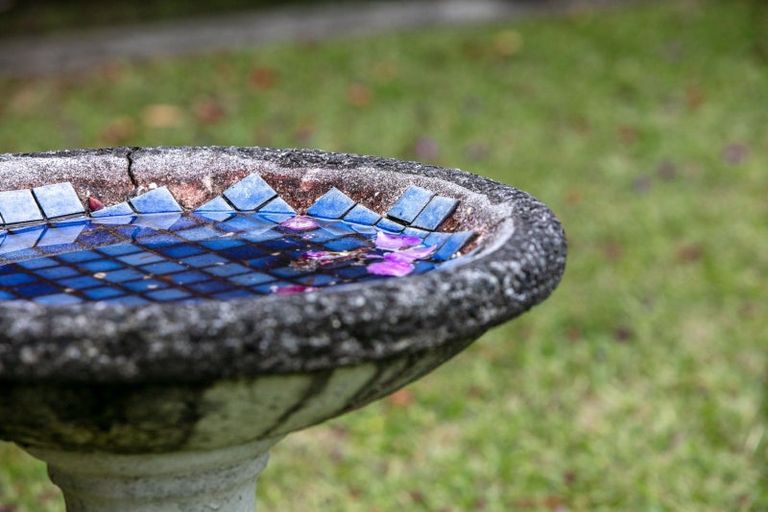 Photo of property in 2a Blundell Place, Katikati, 3129