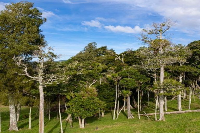 Photo of property in 54 Orotere Lane, Kaeo, 0478