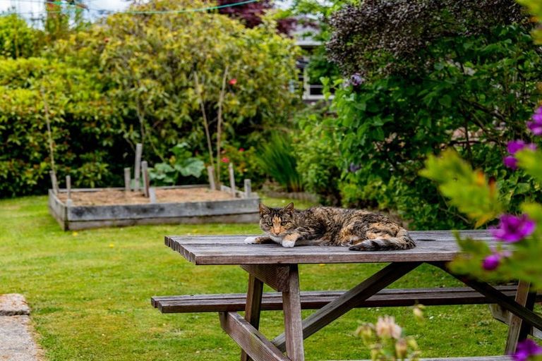 Photo of property in 61 Beresford Street, Wakari, Dunedin, 9010