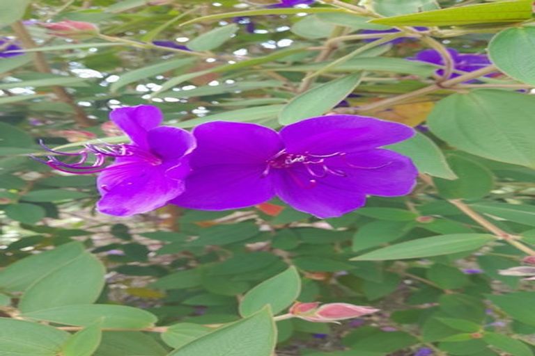 Photo of property in 279 Taratara Road, Kaeo, 0479