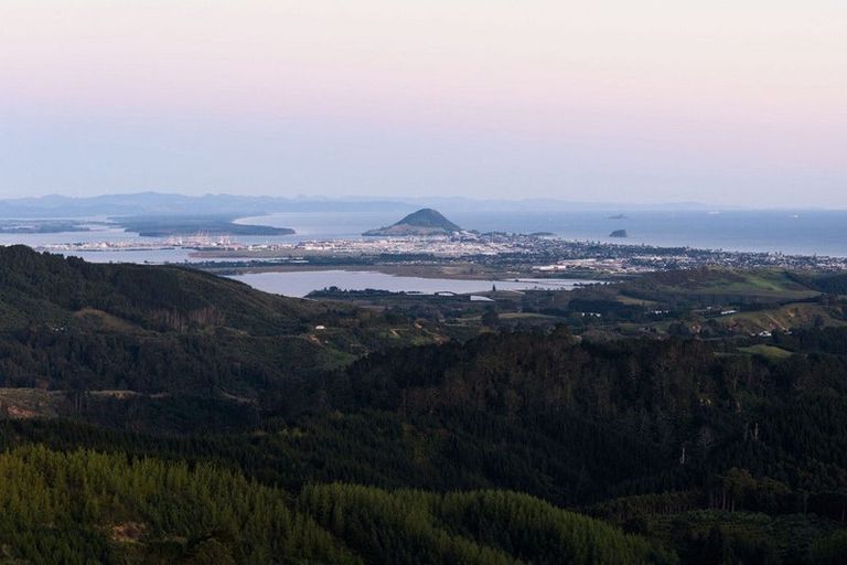 Photo of property in 5 Chestnut Lane, Papamoa, Te Puke, 3187