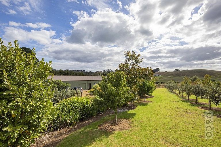 Photo of property in 231 Taiapa Road, Muriwai, Waimauku, 0881