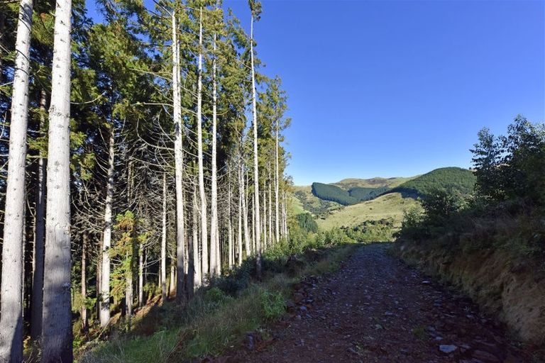 Photo of property in 90 Bachelors Road, Little River, 7591