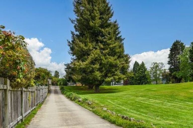 Photo of property in 46b Nikau Street, Springfield, Rotorua, 3015