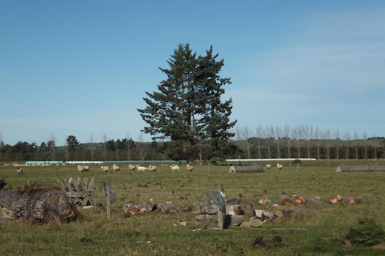 Photo of property in 675 Woodbury Road, Woodbury, Geraldine, 7991