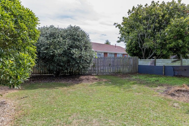 Photo of property in 62 Hinemoa Street, Levin, 5510