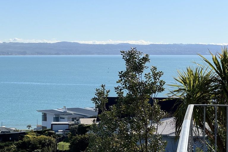 Photo of property in 14 Roslyn Road, Bluff Hill, Napier, 4110