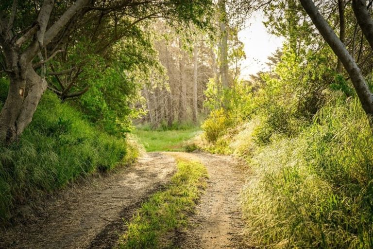 Photo of property in 162 Aranui Road, Mapua, 7005