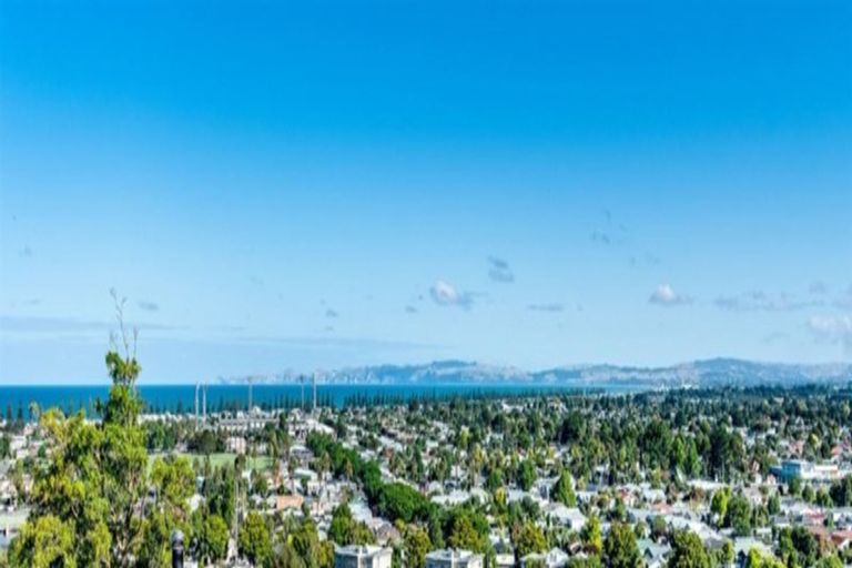 Photo of property in 29 Enfield Road, Hospital Hill, Napier, 4110