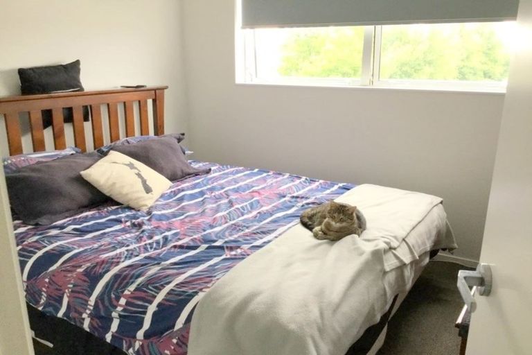 Photo of property in 31 Reynolds Place, Papamoa Beach, Papamoa, 3118