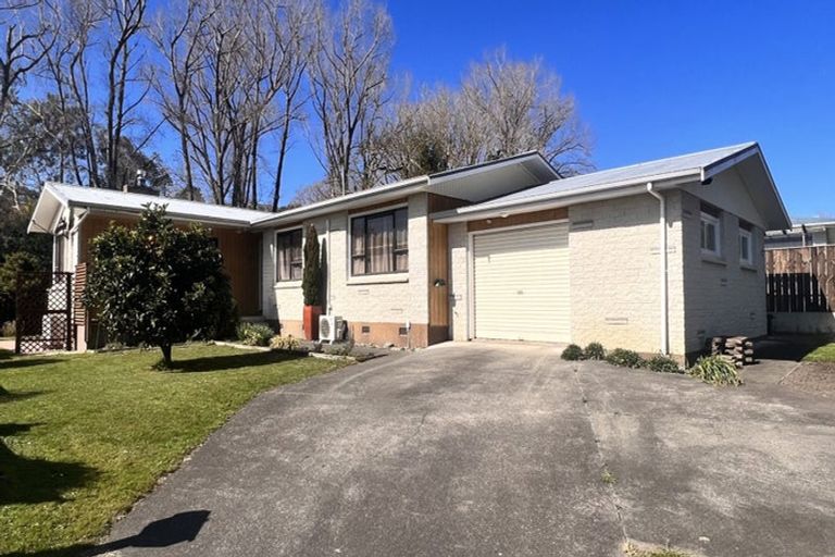 Photo of property in 10 Von Dadelszen Place, Havelock North, 4130