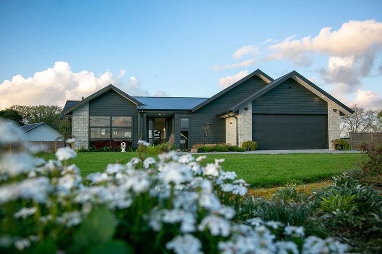 Photo of property in 41 Catalyst Avenue, Leamington, Cambridge, 3432