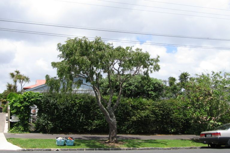 Photo of property in 12 Raymond Street, Point Chevalier, Auckland, 1022