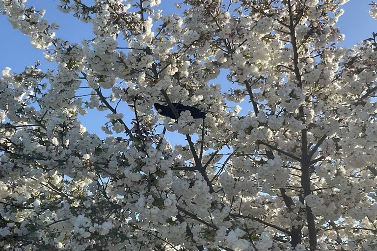 Photo of property in 129 Bannockburn Road, Cromwell, 9384